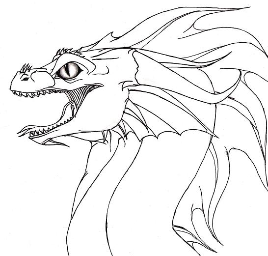 Angry Dragon profile by Dracoanimegurl