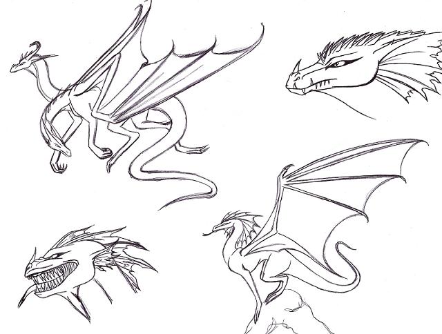 Dragon sketches by Dracoanimegurl