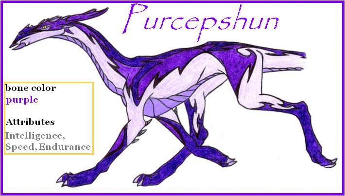 Purcepshun My D.B Dragon! *colored* by Dracoanimegurl
