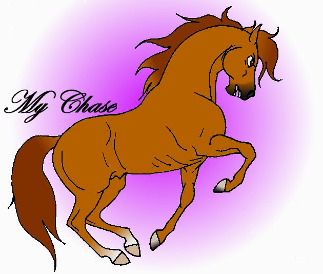 Color Me Stallion'- Chase by Dracoanimegurl