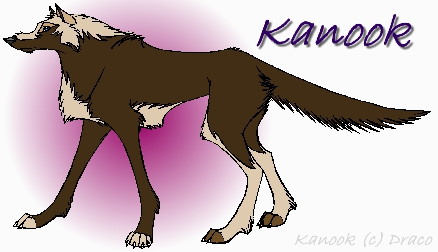 New Wolf Char Kanook by Dracoanimegurl