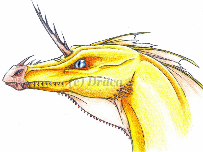 Golden Dragon Head by Dracoanimegurl