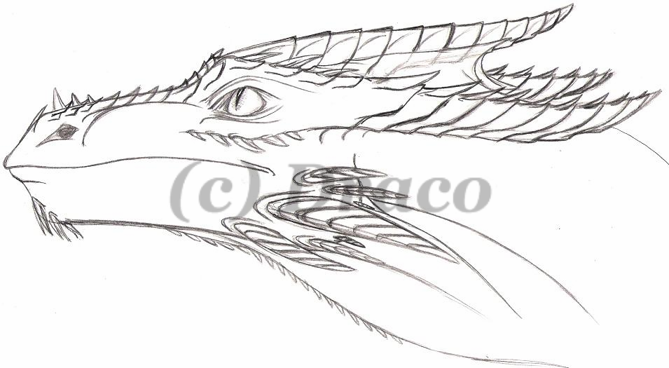 Sketched Dragon Head by Dracoanimegurl