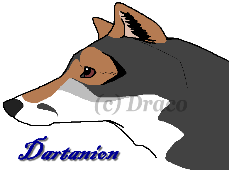 New Character* Dartanion by Dracoanimegurl