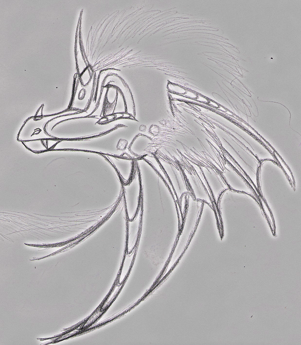 Dragon sketch w/ edit by Dracoanimegurl