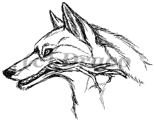 Tablet Wolf Sketch by Dracoanimegurl