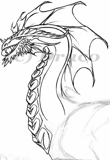 New Dragon Style (head) WIP by Dracoanimegurl