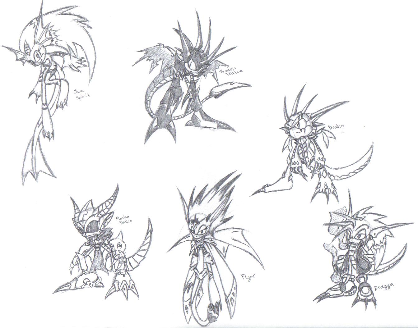 Dragon Species (Sonic Style) by Dragga_Ryuu