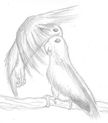 Lovebirds sketch by DragonBlade