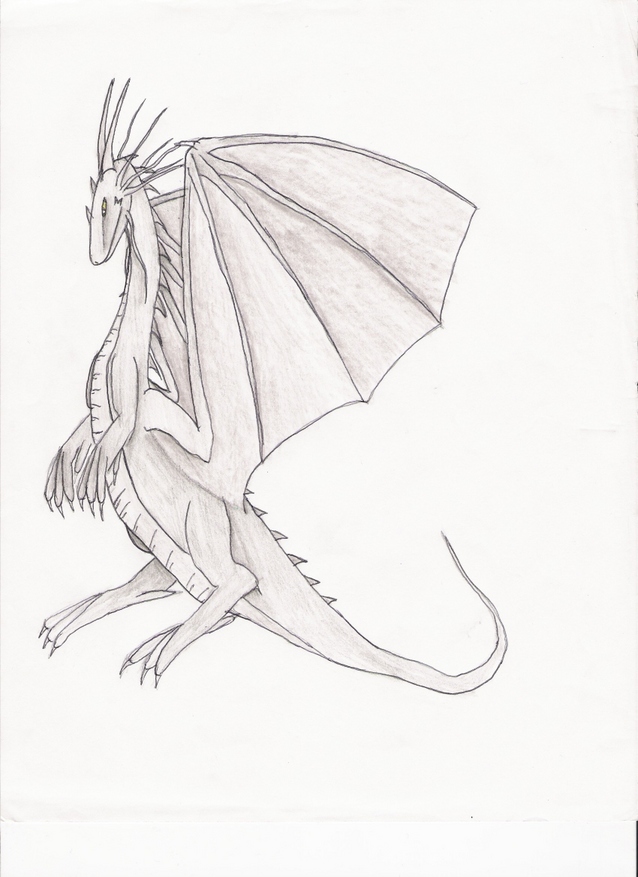 Neutral Dragon by DragonPaladin111