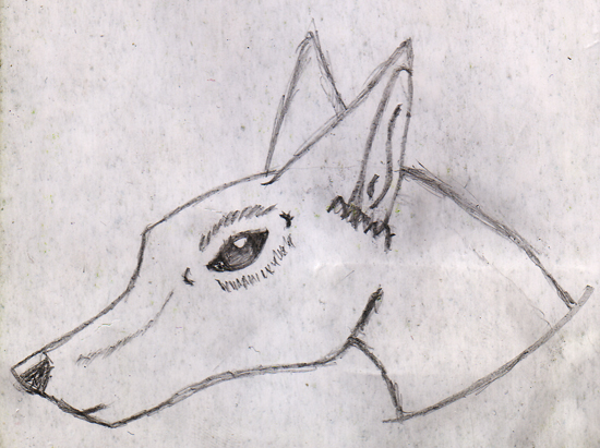 Random Wolf by Dragonia