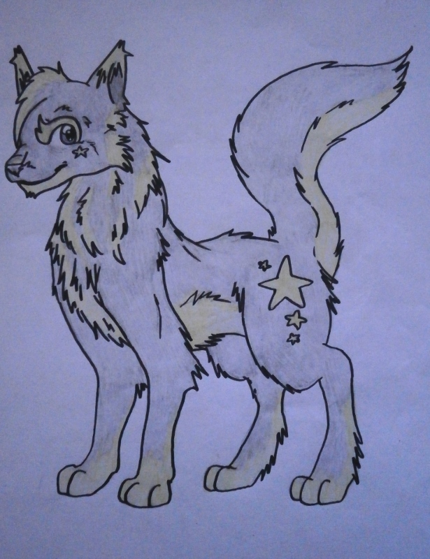 Starry fox by Dragonsama23