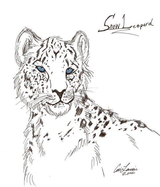 Snow Leopard by Dragonspaz