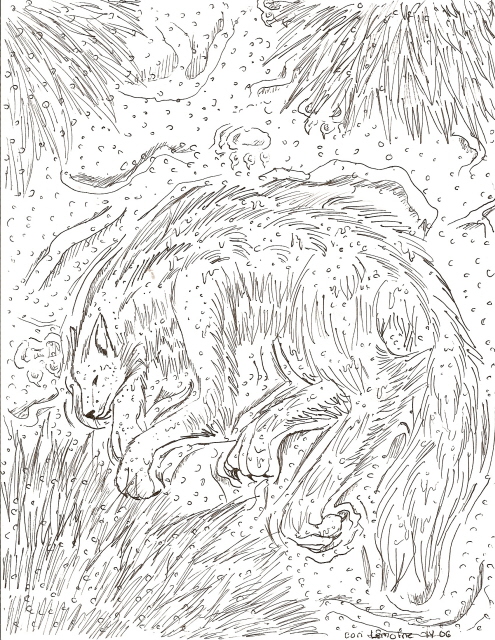 Snow wolf by Dragonspaz