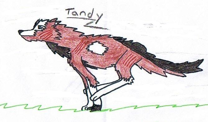 Tandy - another balto-styled wolf by DragonxNekoxFire