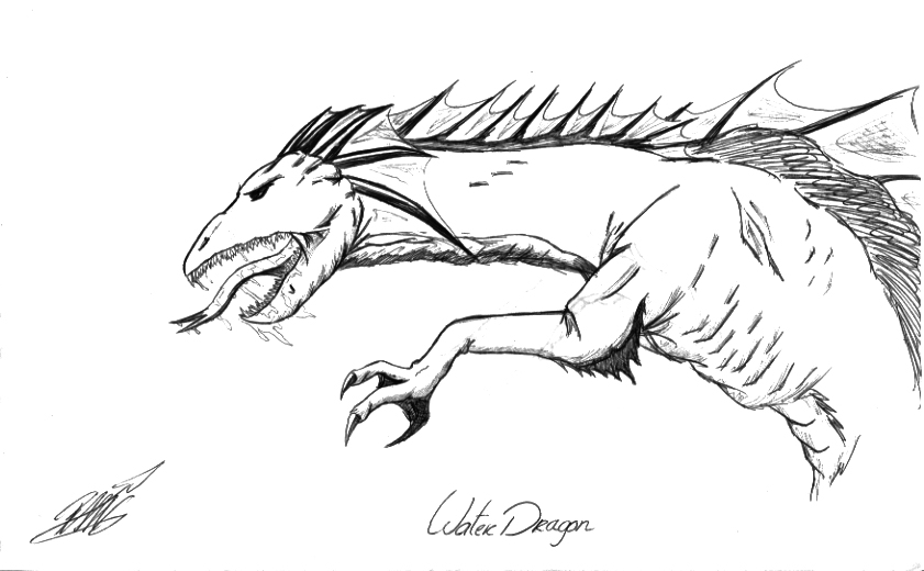 Random Water Dragon by Dragonxtail