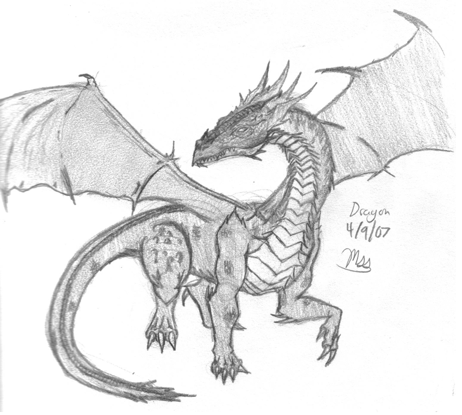 Dragon 01 by Drakedragon