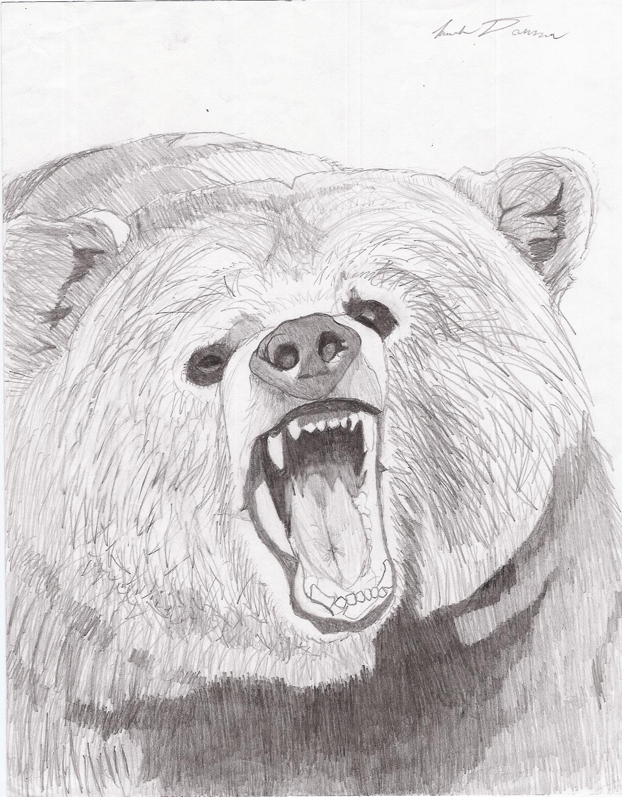 Grizzly by d_wolv