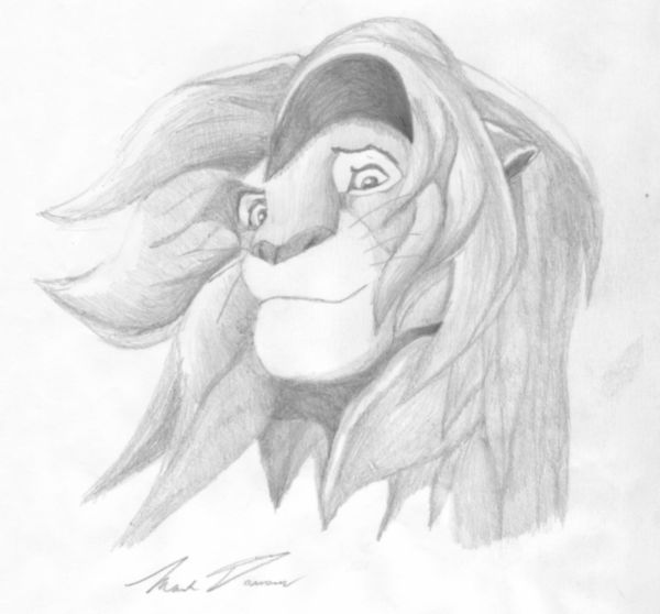 simba sketch by d_wolv