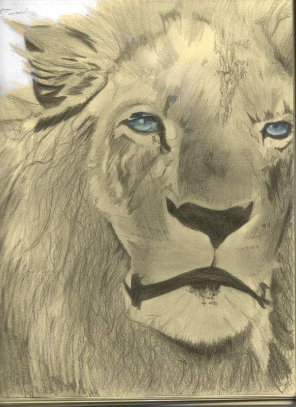 Lion Photoshoped by d_wolv