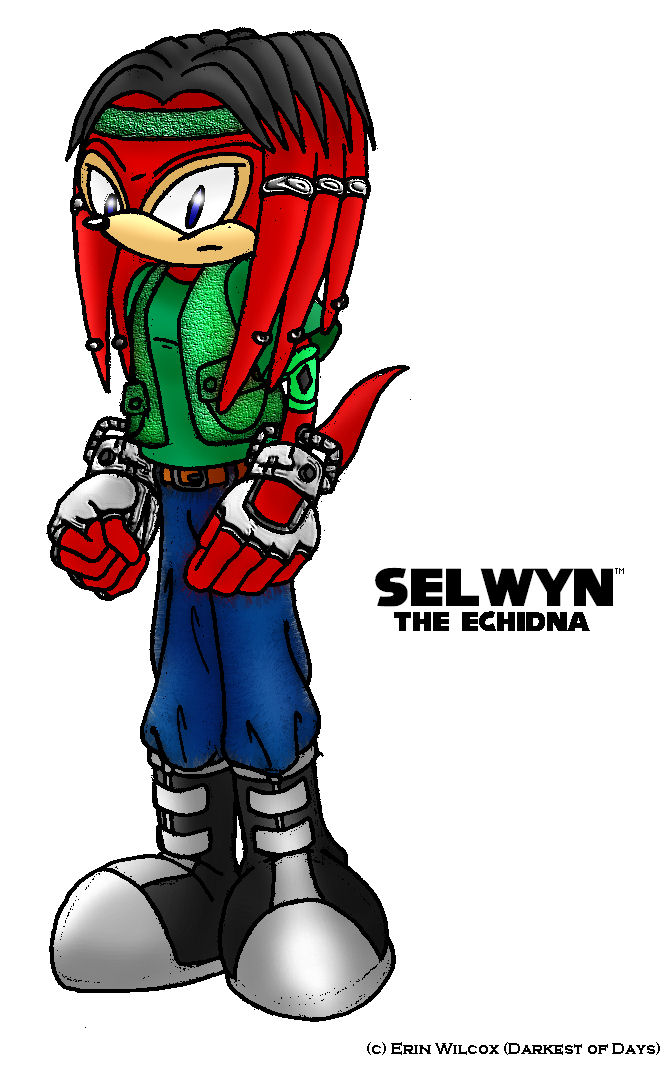 Selwyn the Echidna by dannyfox