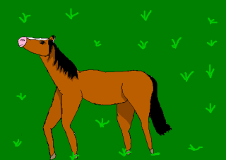 horse joshy by dark_inu_lover