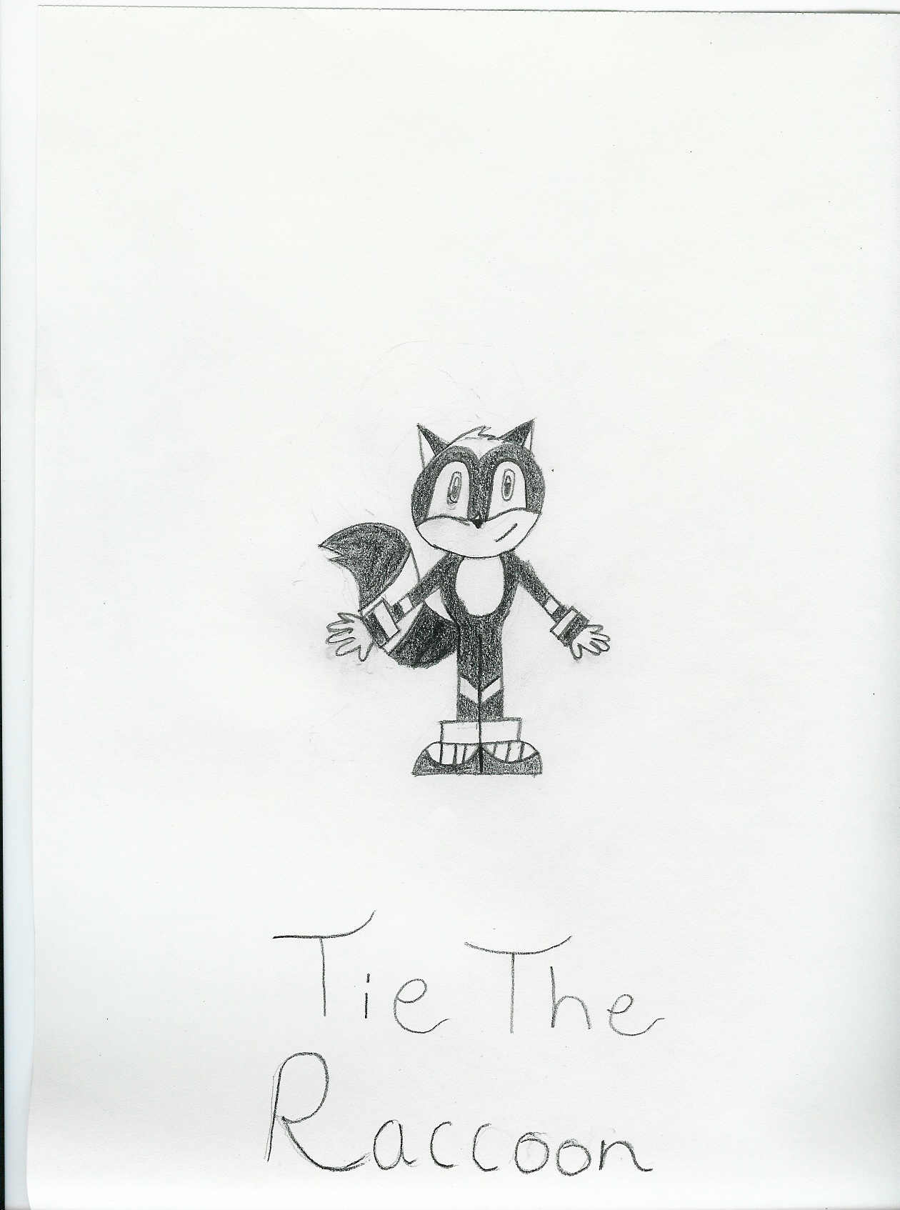 Tye the Raccoon by darkness42