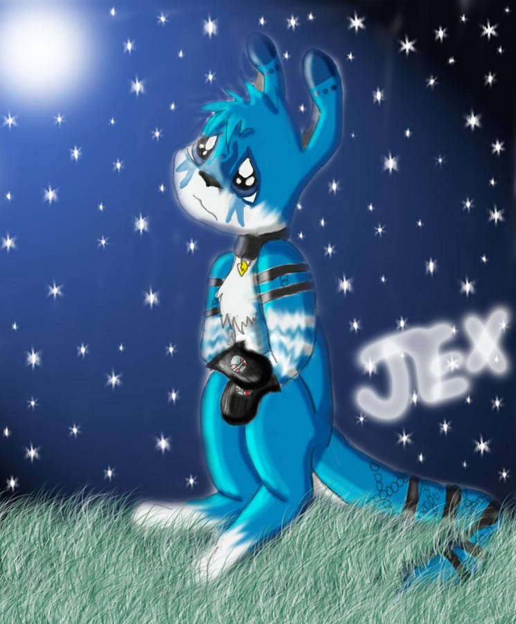Jex on a lonely starry night by darkravenofchaos