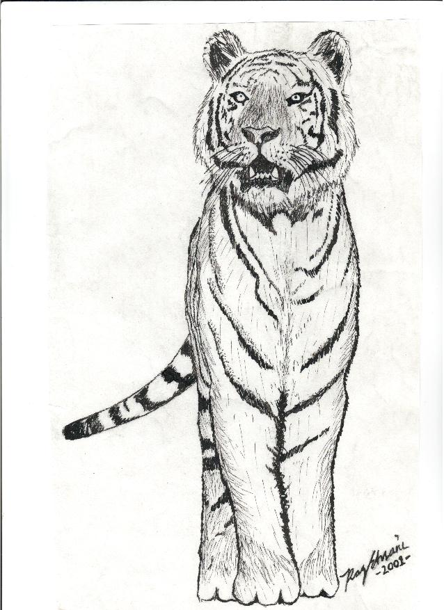 Ink Tiger by darkwarrior