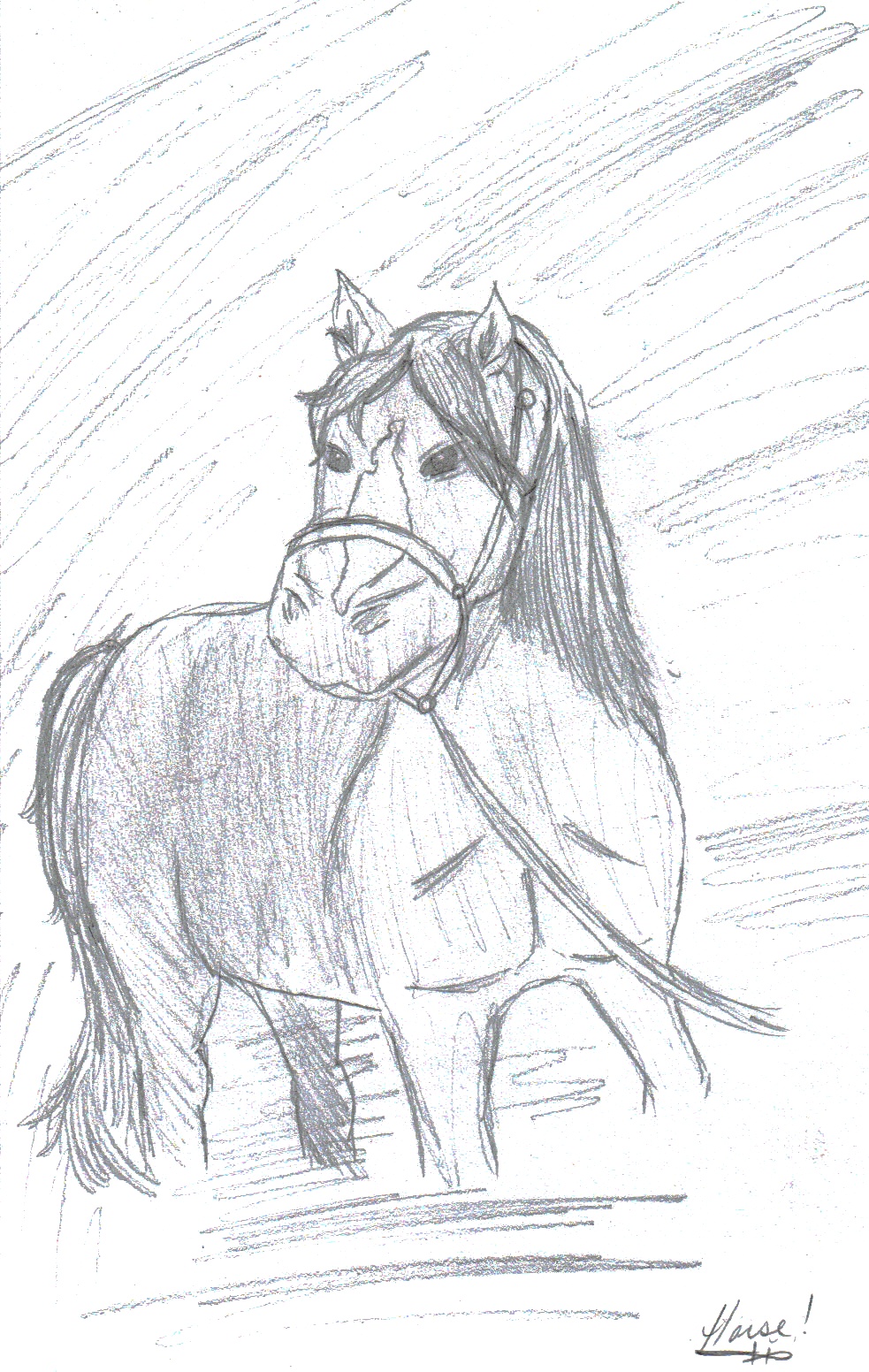 Horse by darkwiccan14