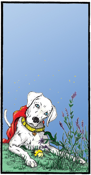 Krypto The Super Dog by darnstrong