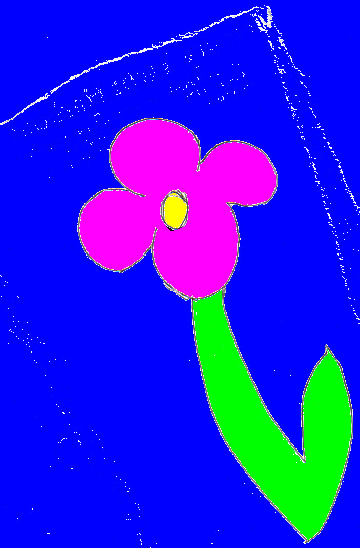 pink flower by davida