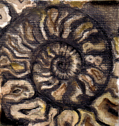 *fossil ammonite* by deedee