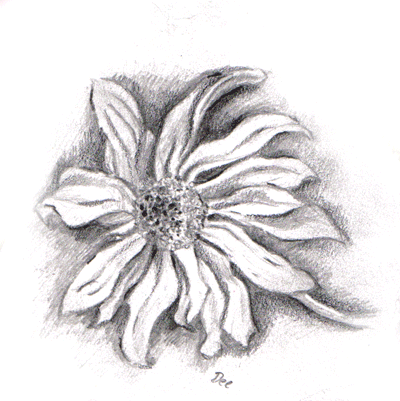 *rudbeckia flower* by deedee