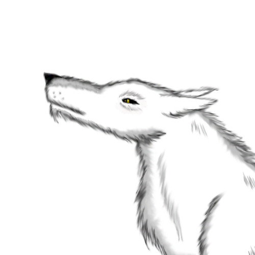 White wolf by demon_lord261