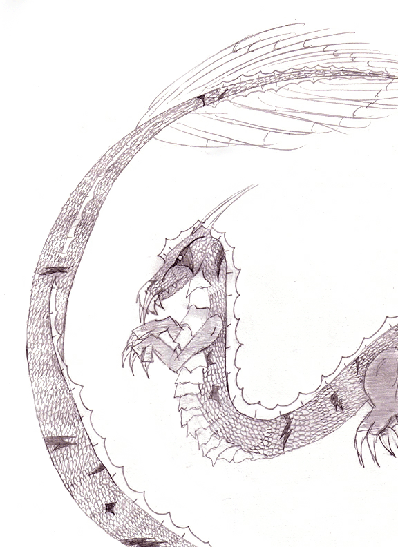 Dragon! by demoncat