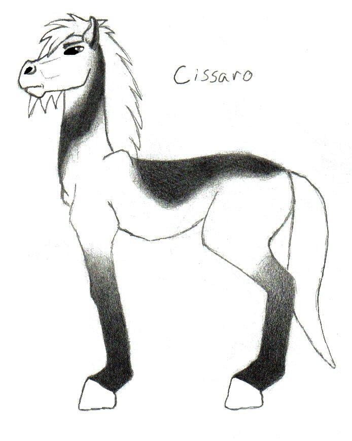 cissaro by demonfang