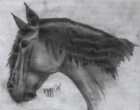 Horse Drawing by desert_rose