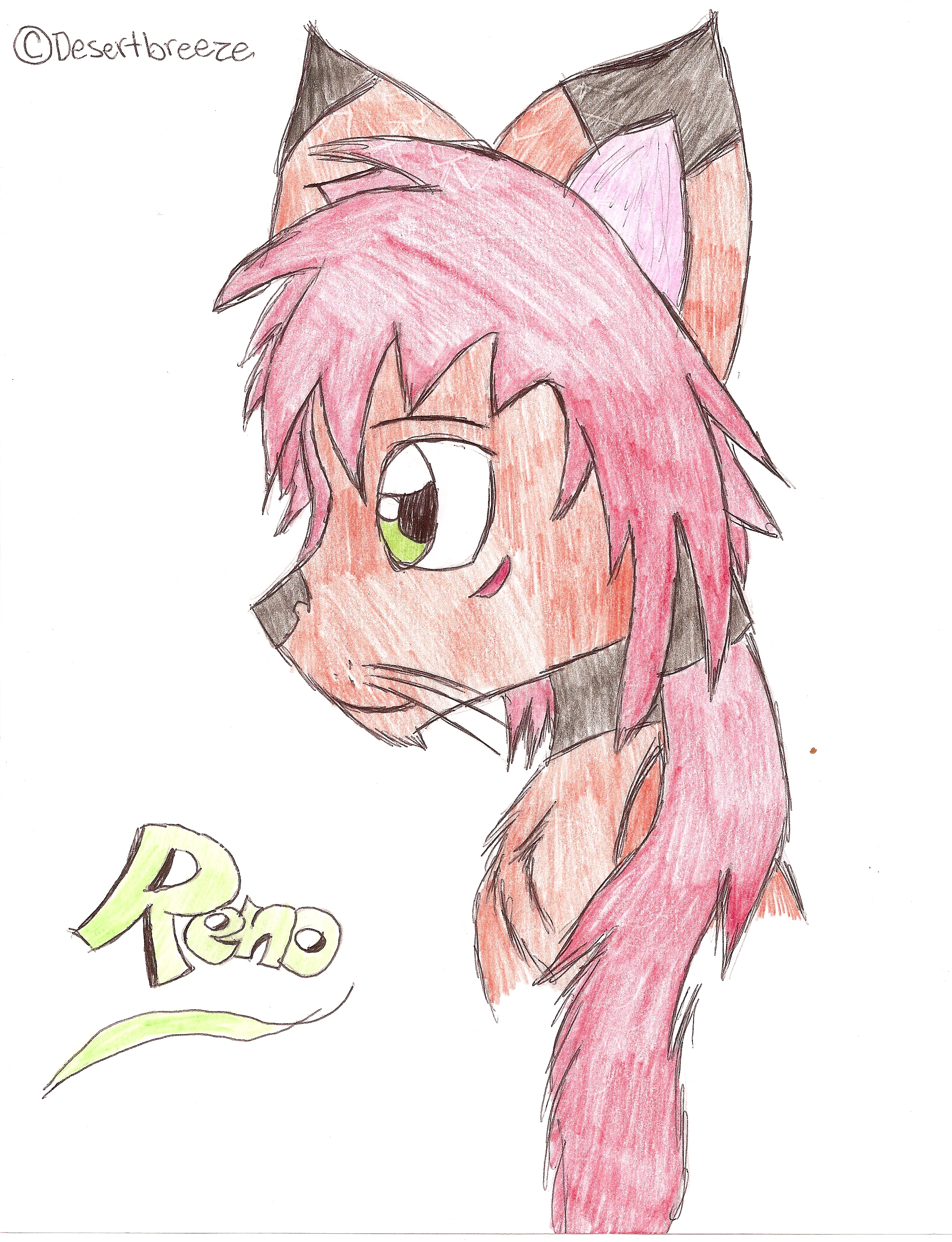 Reno Kitty! YAY! by desertbreeze
