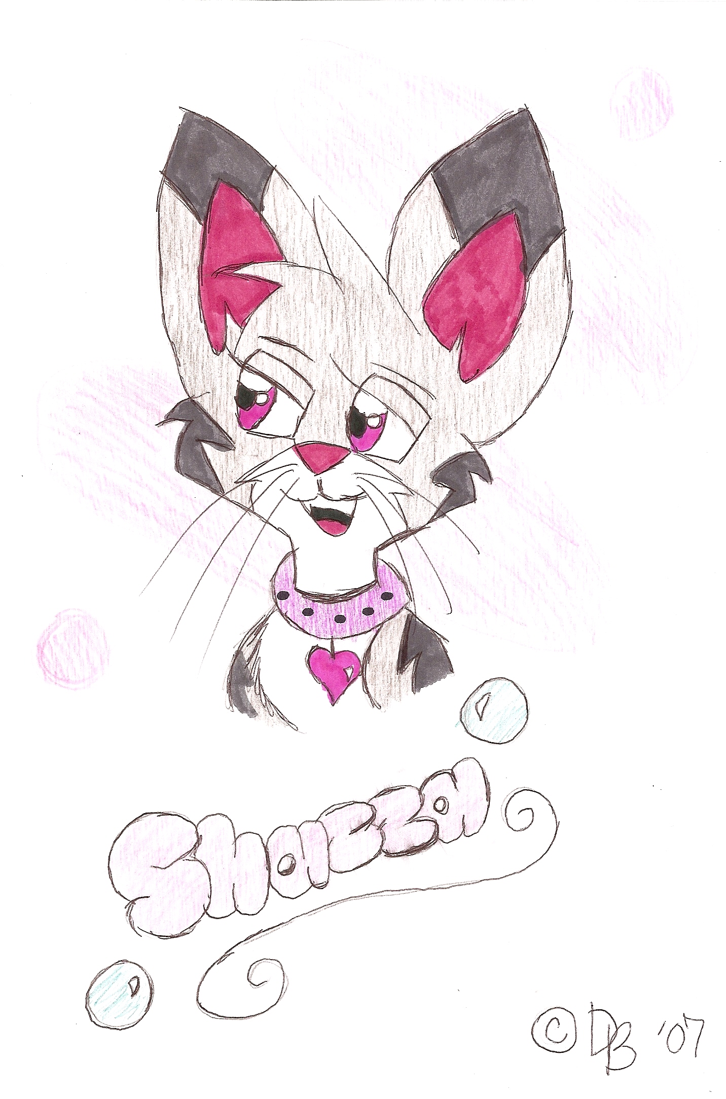 Shazza the kittypet! by desertbreeze