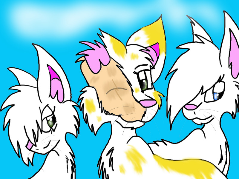 Brightheart, Cloudtail, and Whitewing by desertbreeze