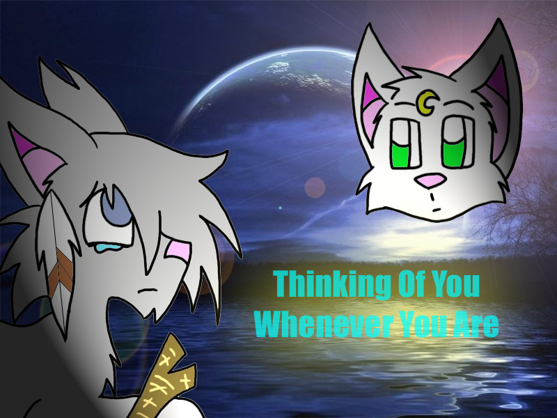 Jayfeather and Half Moon- Thinking Of You by desertbreeze