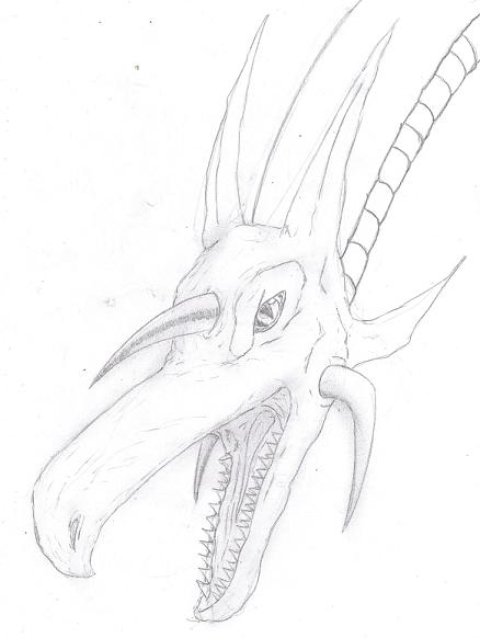 Dragon Head by diablo