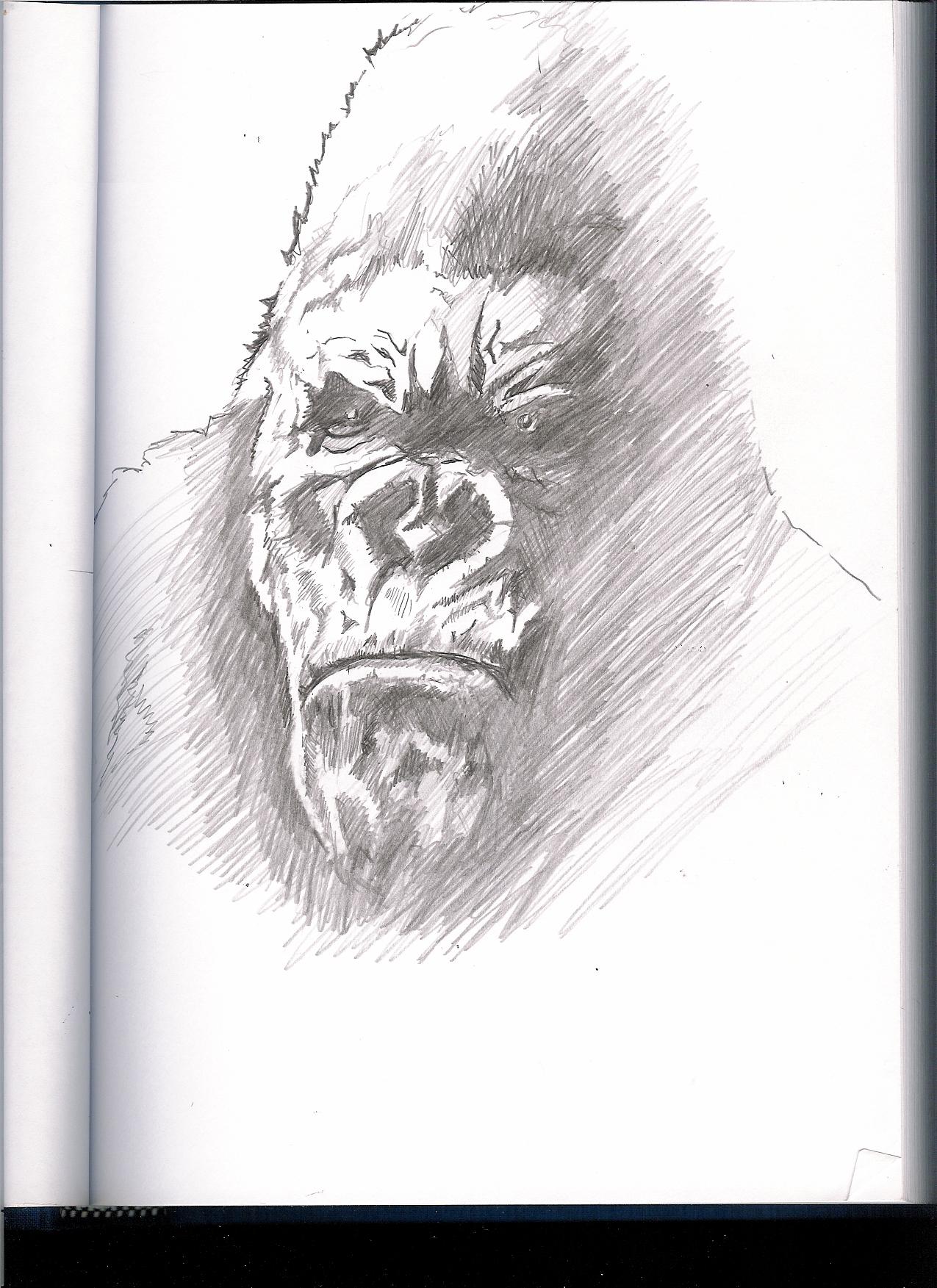 portrait of Kong by diggs421
