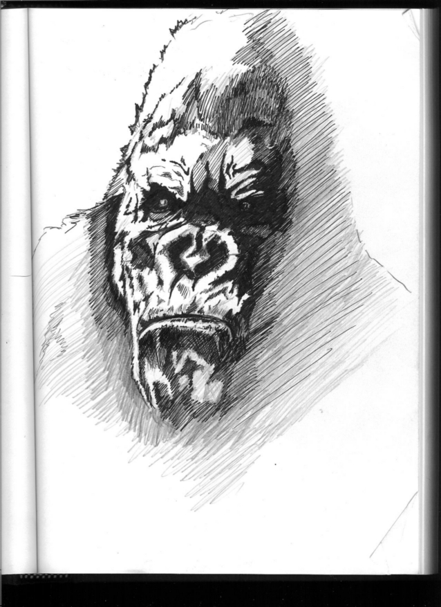 portrait of Kong inked by diggs421
