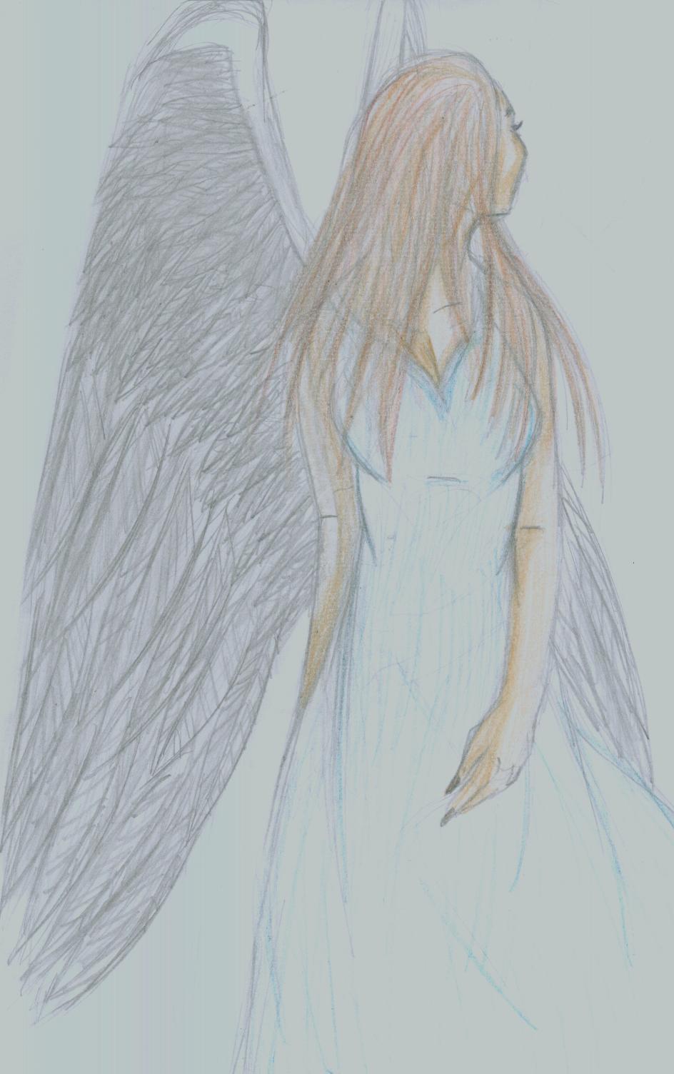 beautiful angel sketch