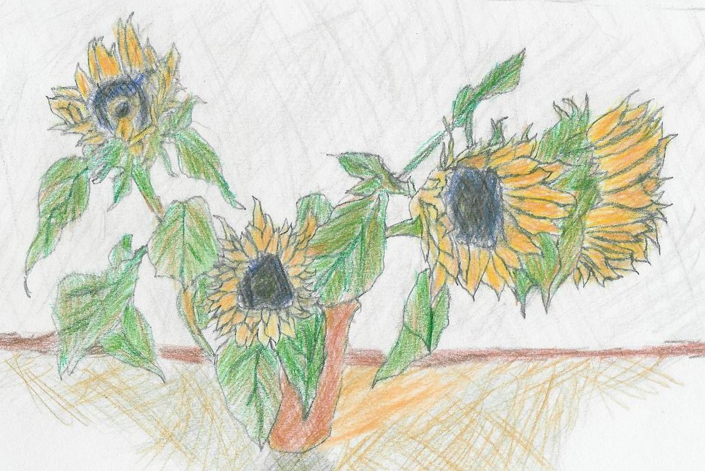 sunflowers by dnl