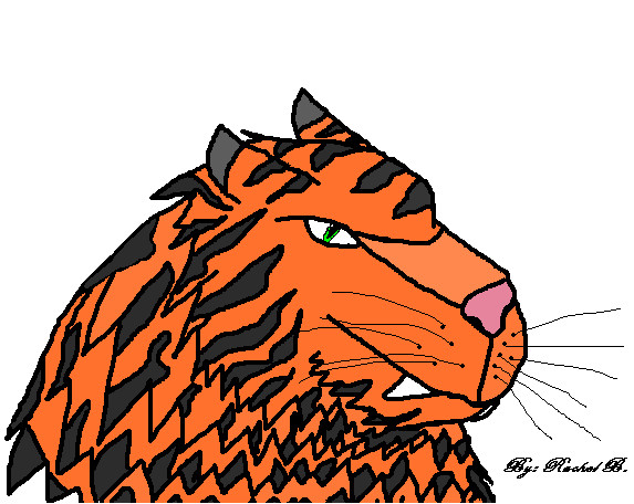 Tiger by dragon45