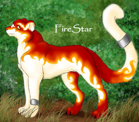 FireStar by dragon_ally