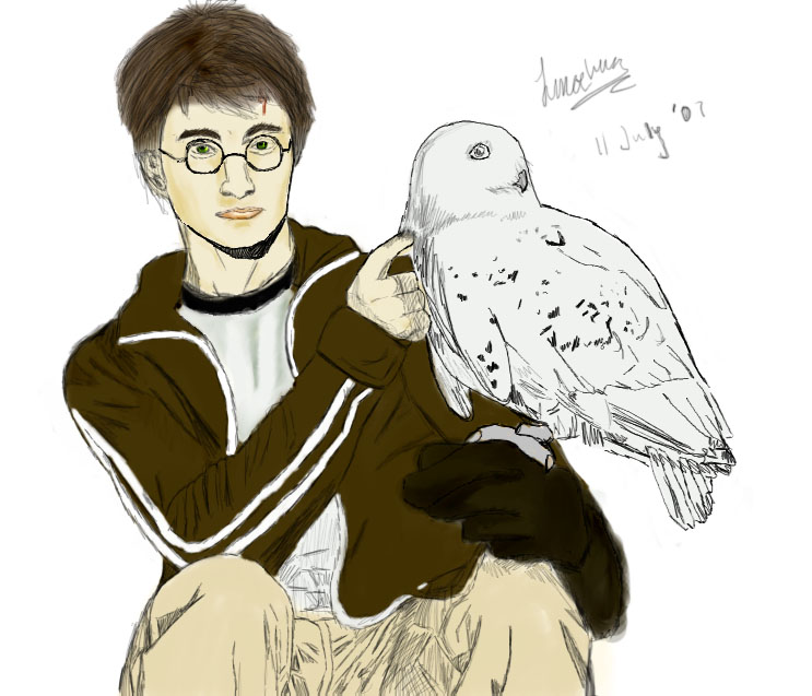 Harry + Hedwig by dragon_flames